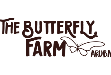 The butterfly Farm